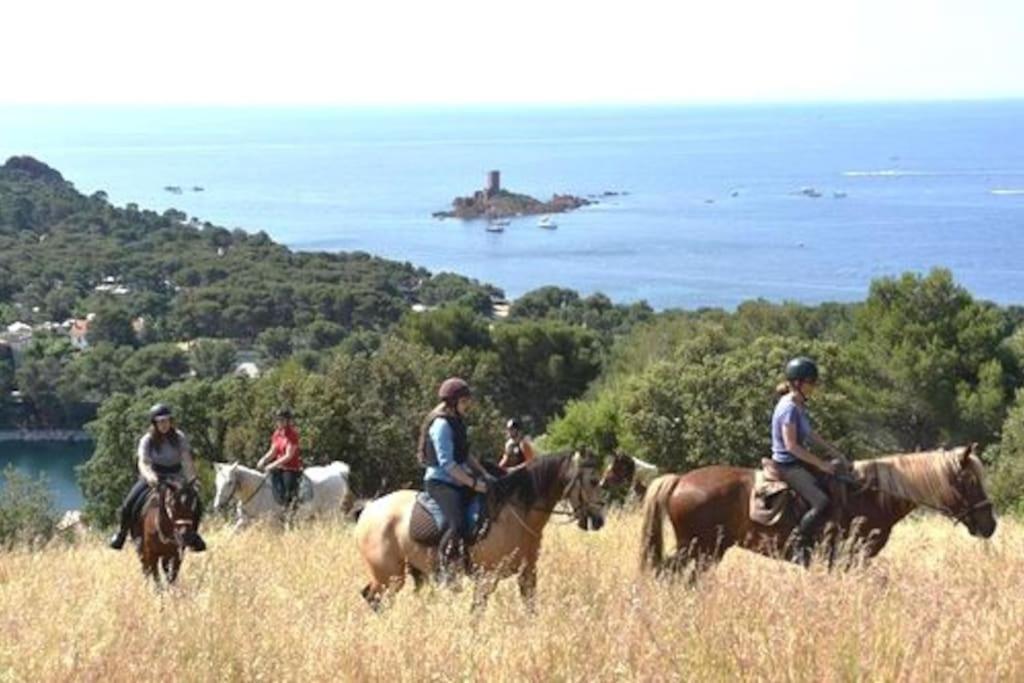 Dans Un Cadre D'Exception, Vue Mer Panoramique A Agay Cote D'Azur, Village Vacances Cap Esterel, T2 Avec Jardin, Golf, Climatisation, Wifi, 5 Piscines Saint-Raphael  Luaran gambar
