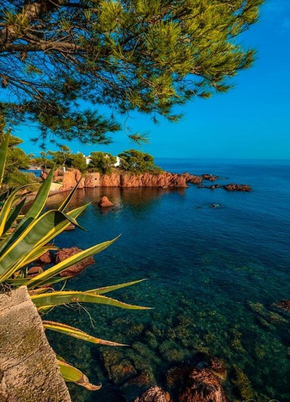 Dans Un Cadre D'Exception, Vue Mer Panoramique A Agay Cote D'Azur, Village Vacances Cap Esterel, T2 Avec Jardin, Golf, Climatisation, Wifi, 5 Piscines Saint-Raphael  Luaran gambar